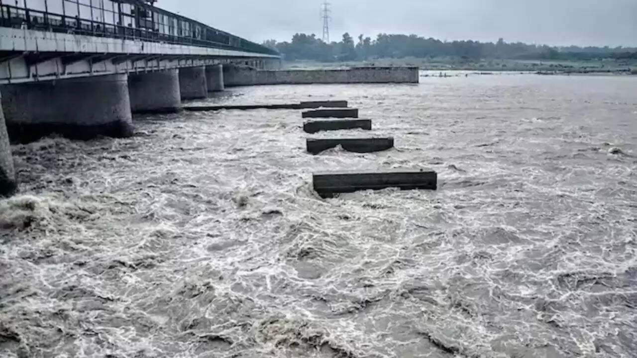 दिल्ली में यमुना का जलस्तर बढ़ा: प्रशासन ने शुरू की बाढ़ से निपटने की तैयारी