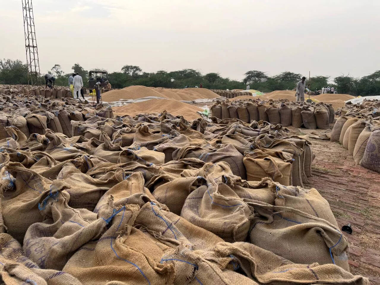 किसानों के लिए मौसम में बदलाव ने बढ़ाई चुनौतियाँ