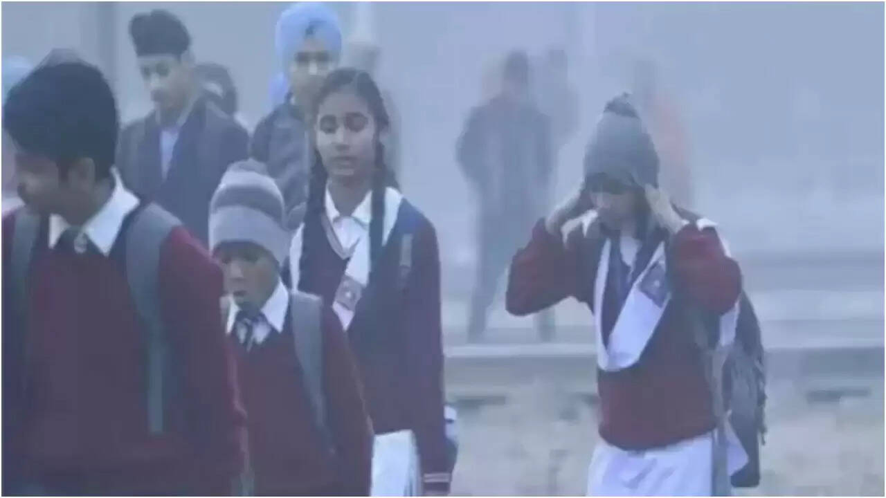 मध्य प्रदेश में ठंड और कोहरे का कहर, स्कूलों में छुट्टियां घोषित