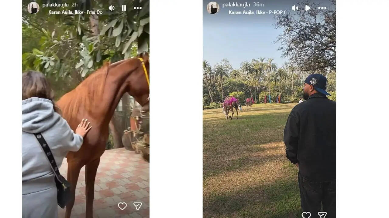 करण औजला के विवाद में पत्नी का समर्थन, Ms Gori के आरोपों का सामना