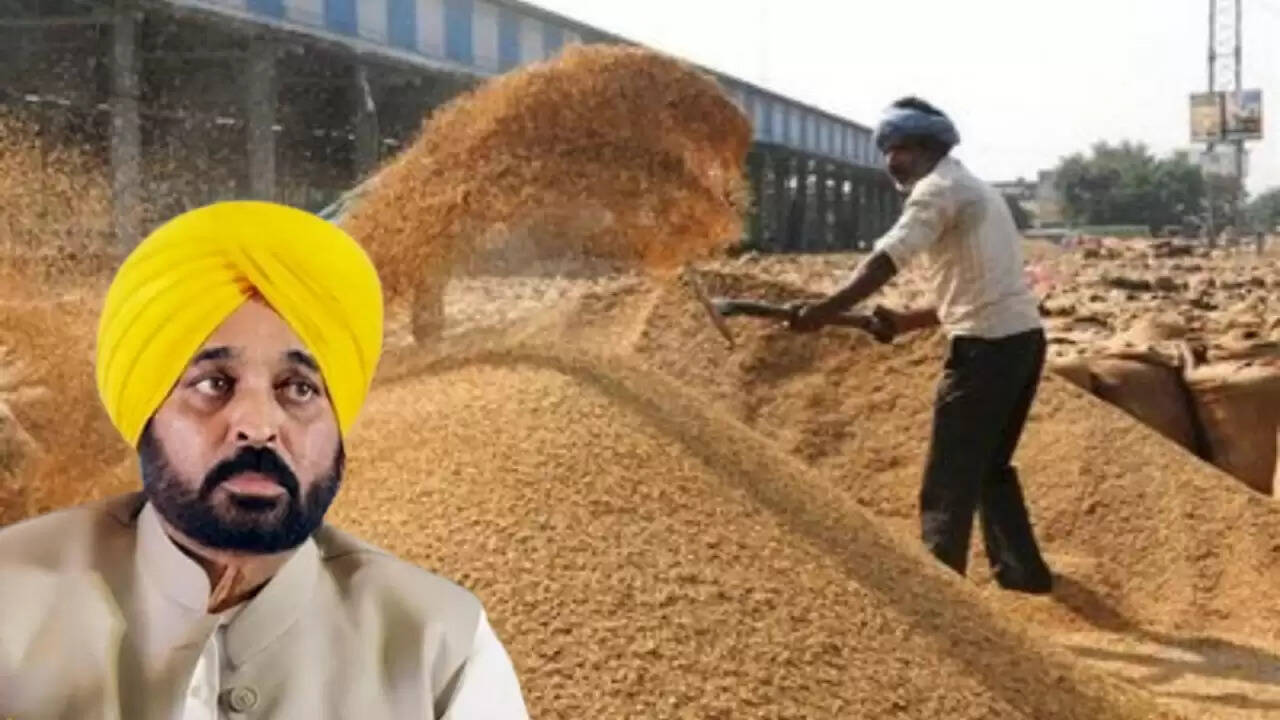 पंजाब में खरीफ फसल की खरीद के लिए तैयारियां तेज, मंत्री ने की समीक्षा