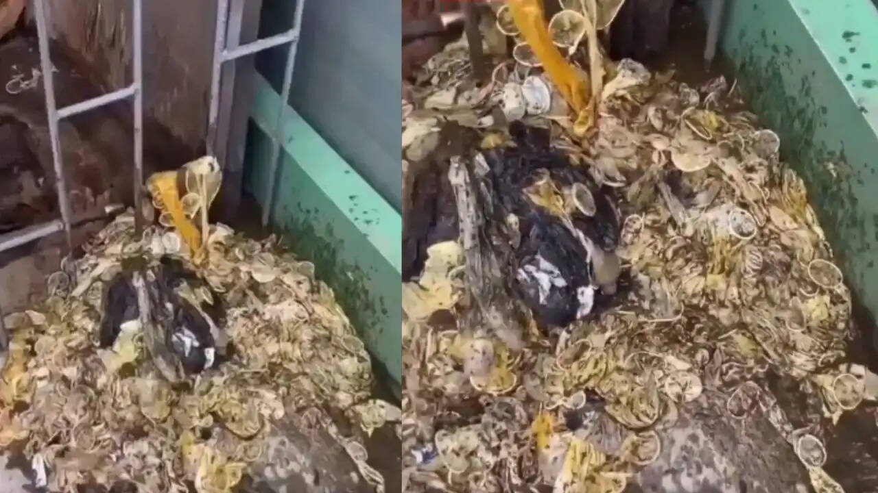 दिल्ली के गर्ल्स हॉस्टल में कंडोम का वीडियो फर्जी साबित हुआ