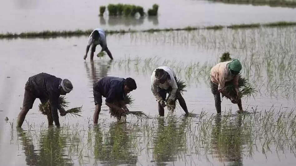 किसान मानधन योजना: जानें कैसे मिलती है पेंशन और कौन ले सकता है लाभ