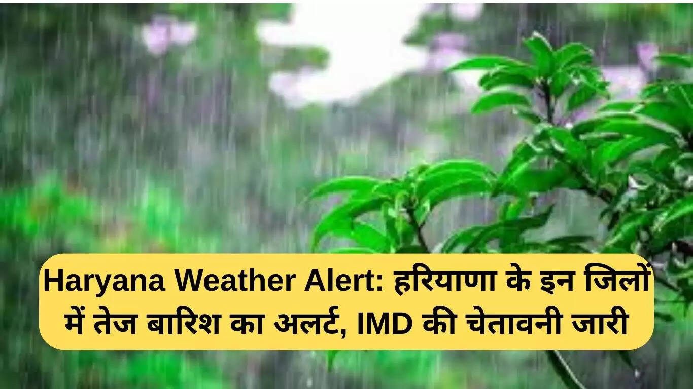 हरियाणा में बारिश का अलर्ट: IMD ने जारी किया यलो अलर्ट