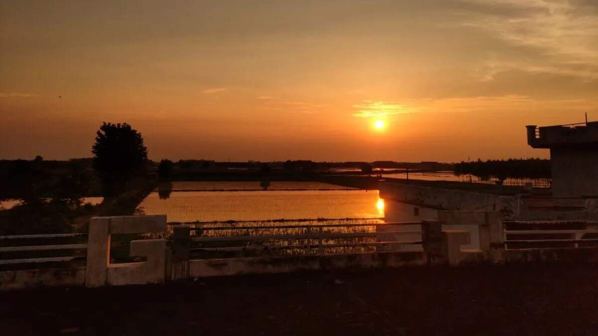 उत्तर प्रदेश में सर्दी का असर: तापमान में गिरावट और कोहरे की चादर