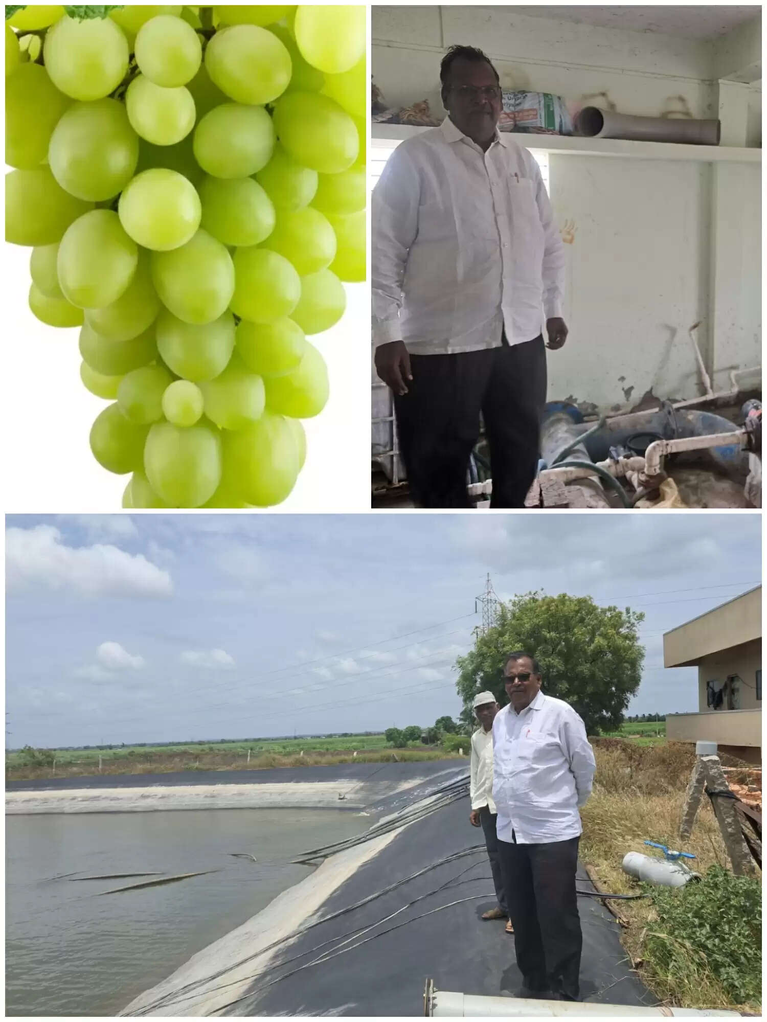कर्नाटक के किसान को अंगूर की खेती में मिली सफलता, दो एकड़ से 300 एकड़ तक का सफर