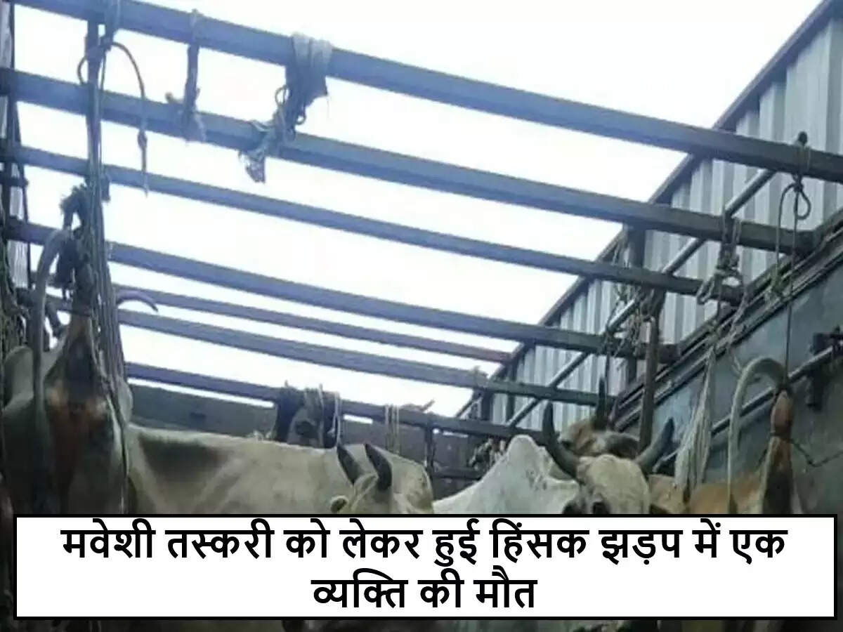 भारत में मवेशी तस्करी से जुड़ी हिंसक झड़प में एक व्यक्ति की मौत