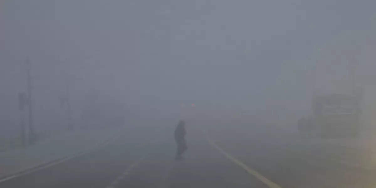 दिल्ली और उत्तर प्रदेश में घने कोहरे से प्रभावित परिवहन सेवाएं