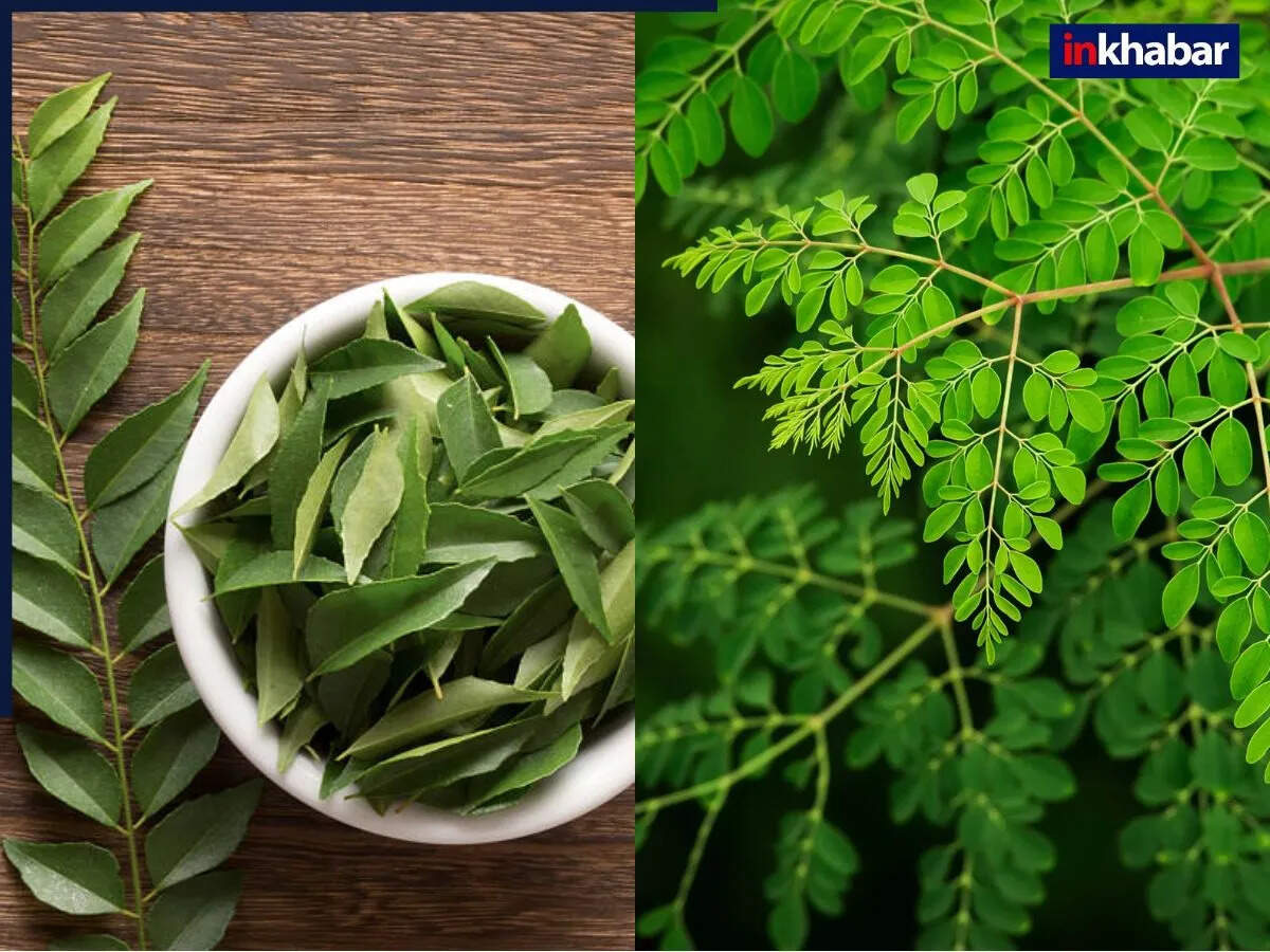 बालों की देखभाल के लिए आयुर्वेदिक उपाय
