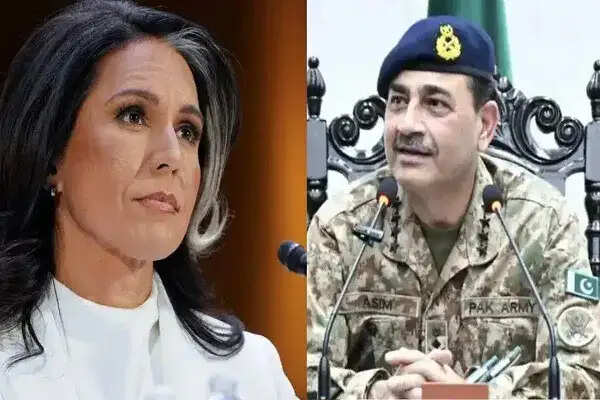 अमेरिका के लिए पाकिस्तान का परमाणु खतरा बढ़ता जा रहा है: तुलसी गबार्ड