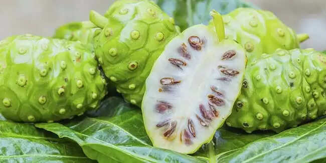 नोनी फल: स्वास्थ्य के लिए चमत्कारी लाभ