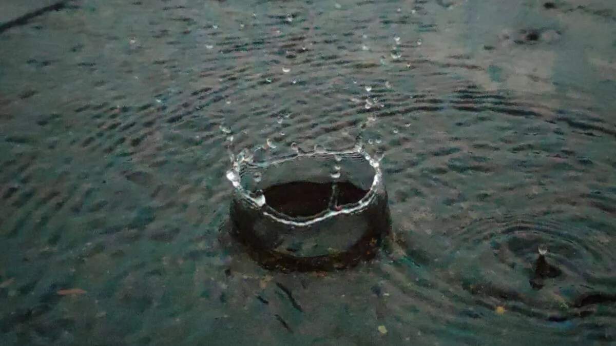 हरियाणा में सर्दी का बढ़ता असर: हिसार में तापमान 6.3°C तक गिरा