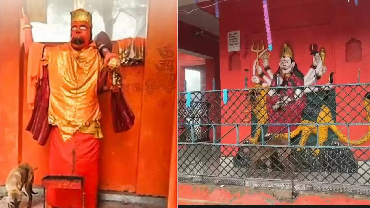 क्या है बिजनौर के कुत्ते का रहस्य? जानें कैसे बना यह 'भैरवनाथ' का अवतार