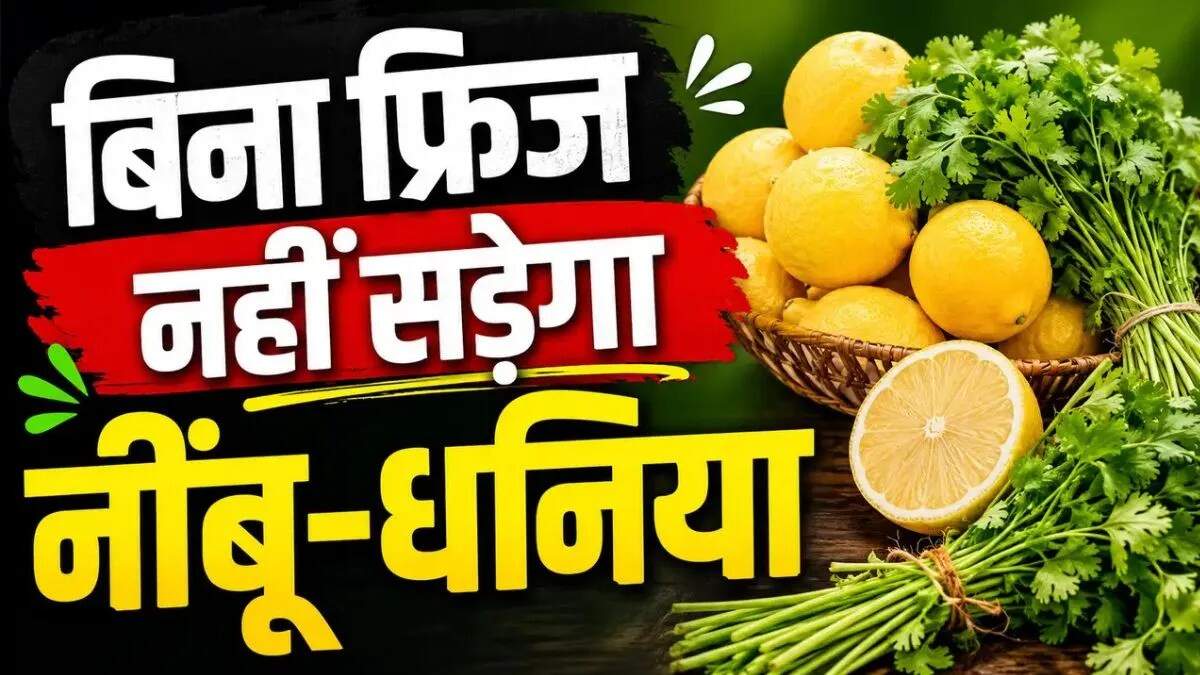 गर्मी में हरी सब्जियों को ताजा रखने के सरल उपाय