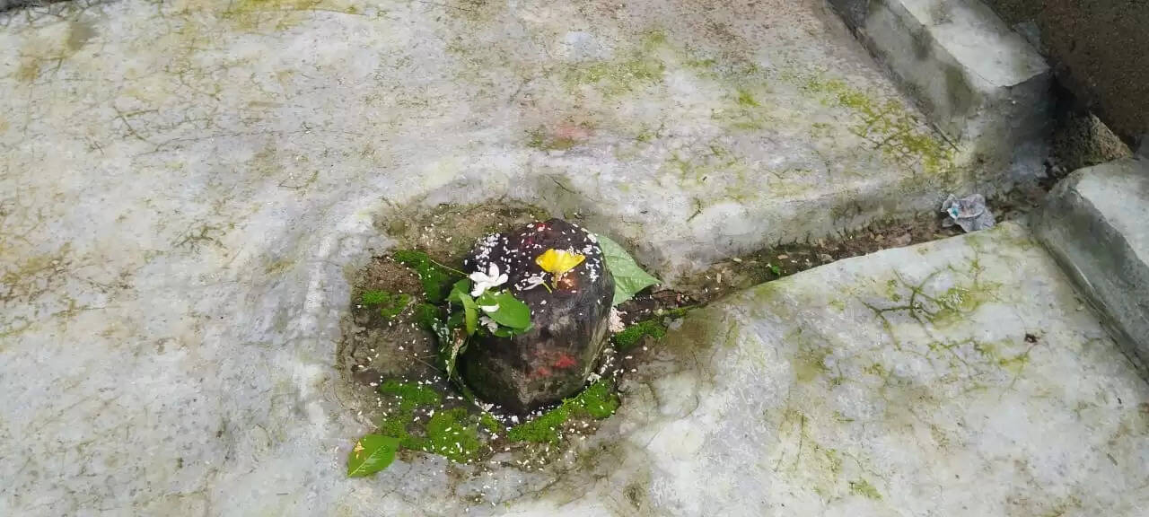 द्वादश ज्योतिर्लिंग के प्रतीक हैं बम्हणी गांव स्थित 12 शिवलिंग