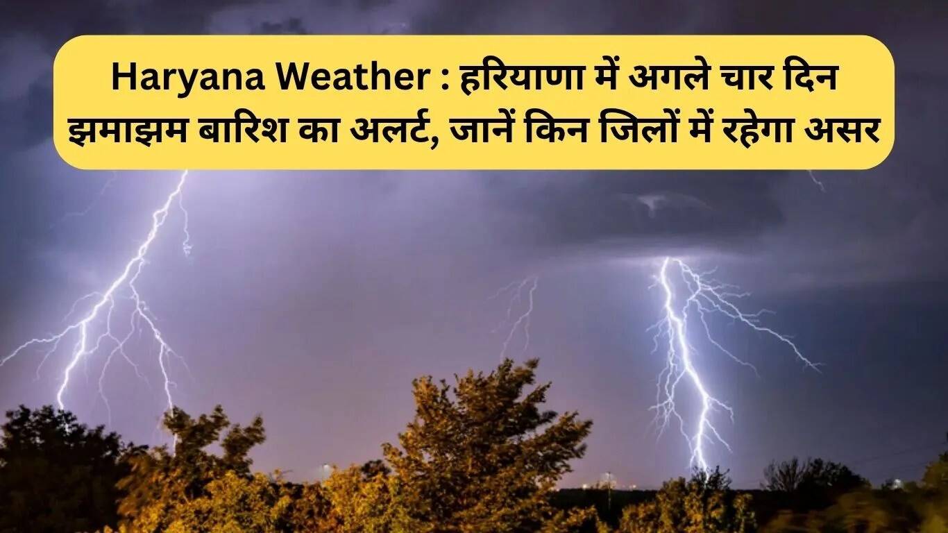 हरियाणा में अगले चार दिनों तक भारी बारिश का अलर्ट