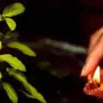 शुक्रवार की रात करें ये विशेष उपाय: धन और प्रेम में वृद्धि के लिए