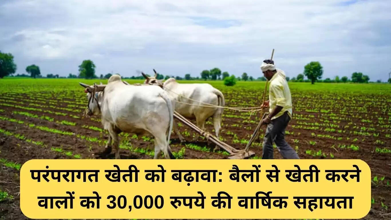 राजस्थान में पारंपरिक खेती को बढ़ावा देने के लिए नई योजना