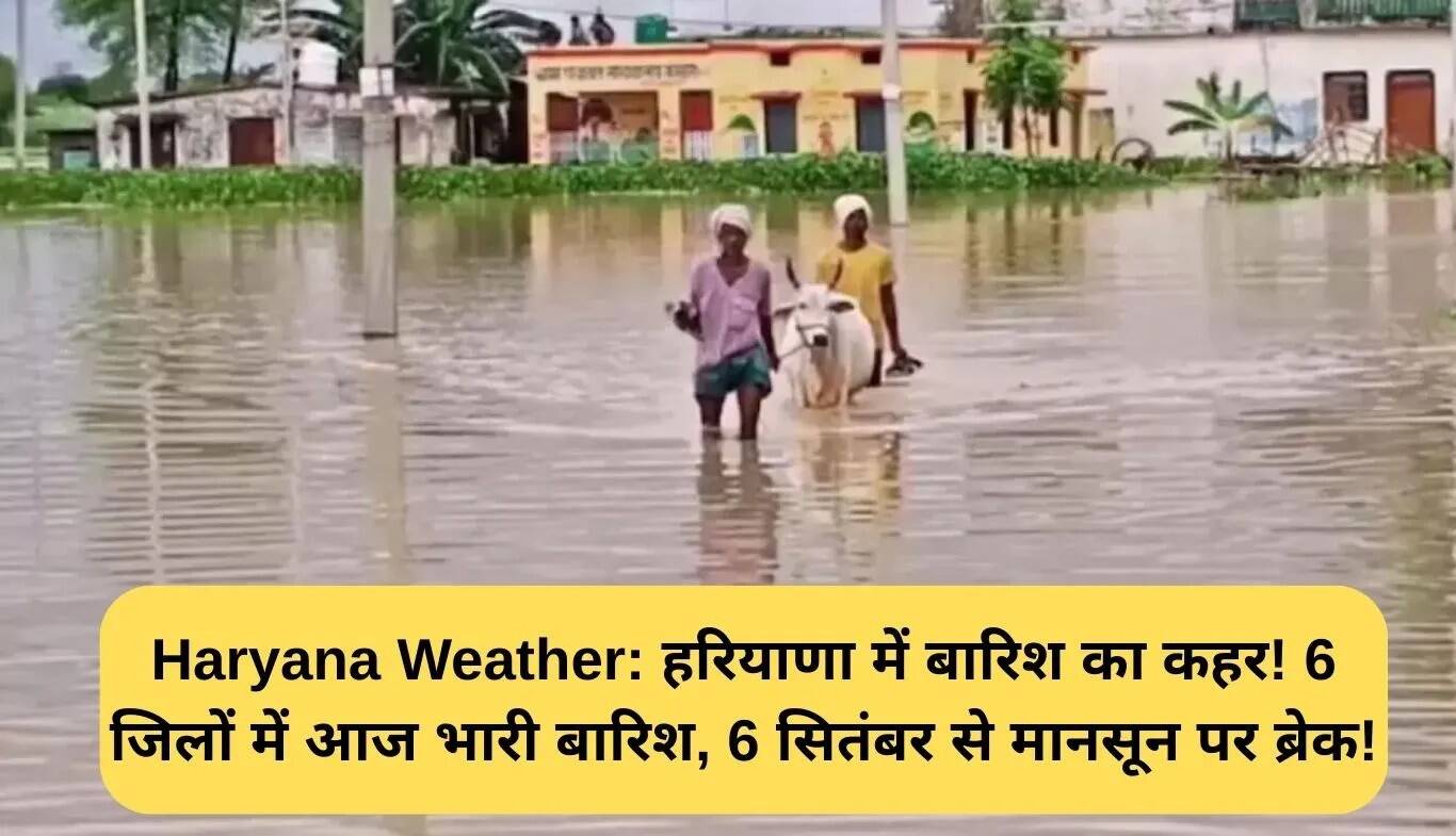 हरियाणा में बारिश का कहर: 6 जिलों में भारी बारिश की चेतावनी