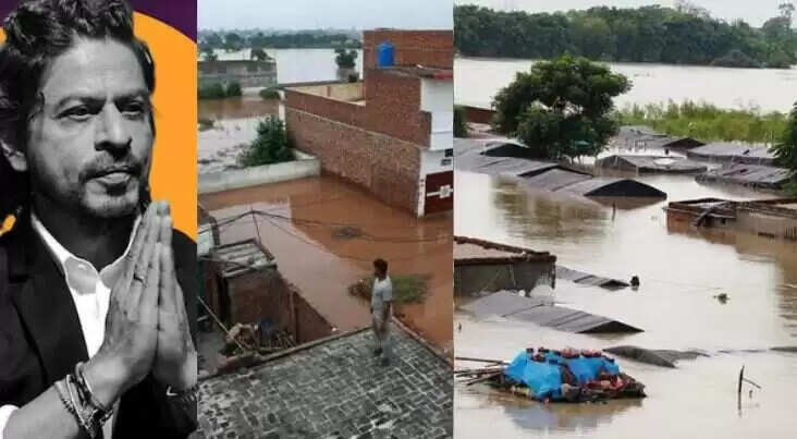 पंजाब बाढ़ राहत: शाहरुख खान का मीर फाउंडेशन आगे आया