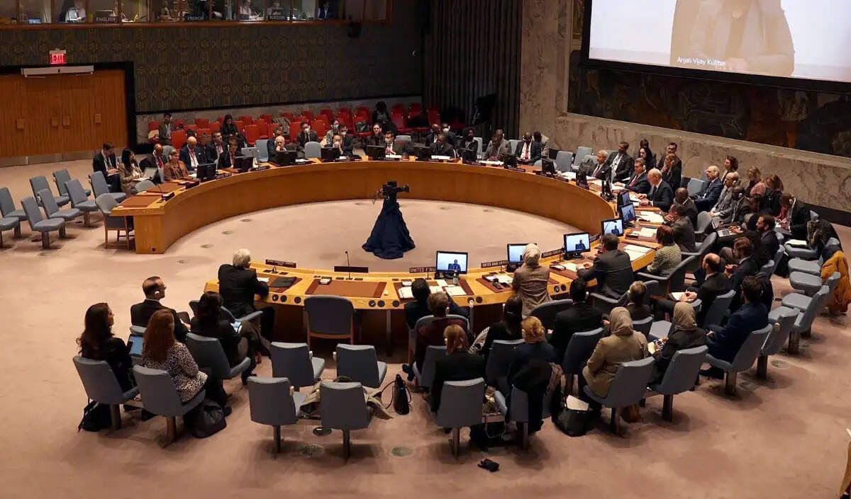 भारत ने UNSC सुधारों पर दोहराया कड़ा रुख, वीटो अधिकार का विस्तार जरूरी