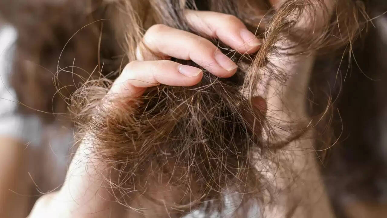 मानसून में बालों की देखभाल: जानें कैसे रखें उन्हें स्वस्थ और चमकदार