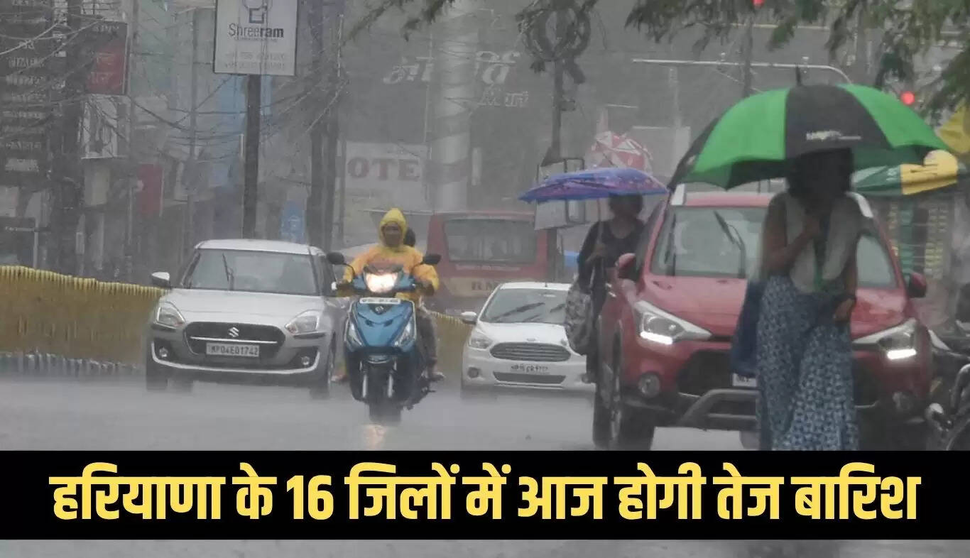 हरियाणा में 16 जिलों में बारिश का अलर्ट, मौसम विभाग की चेतावनी
