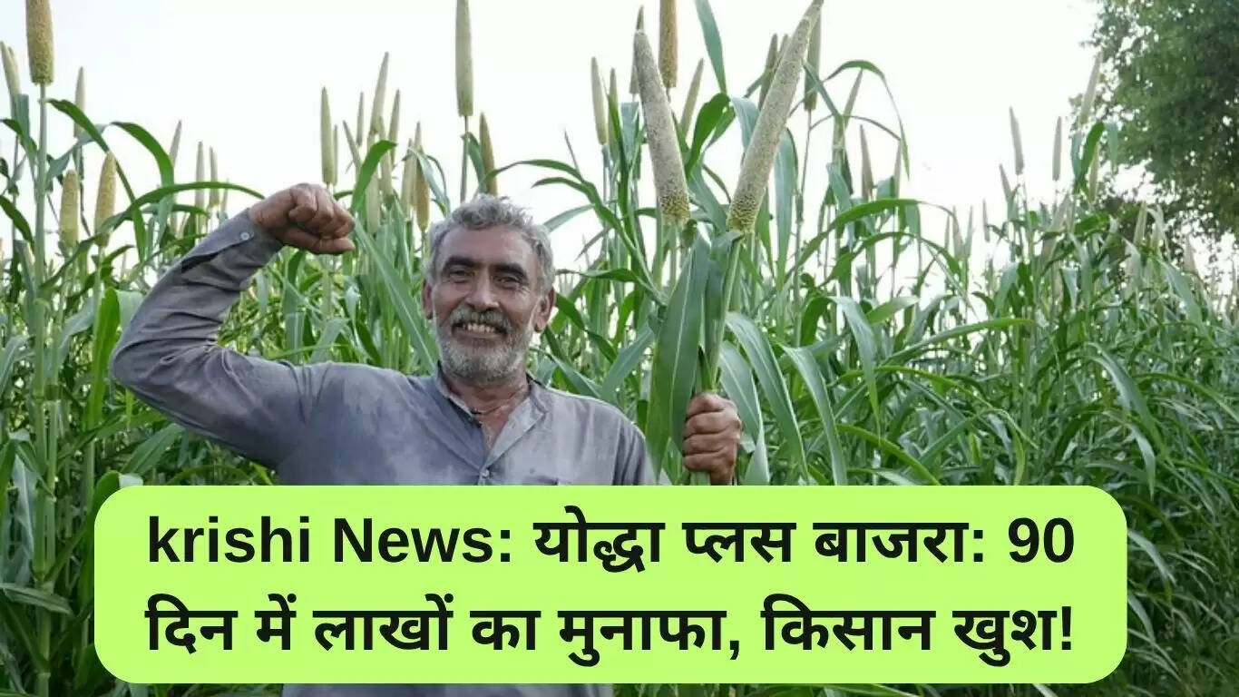 योद्धा प्लस बाजरा: 90 दिनों में लाखों का लाभ, किसानों की खुशी