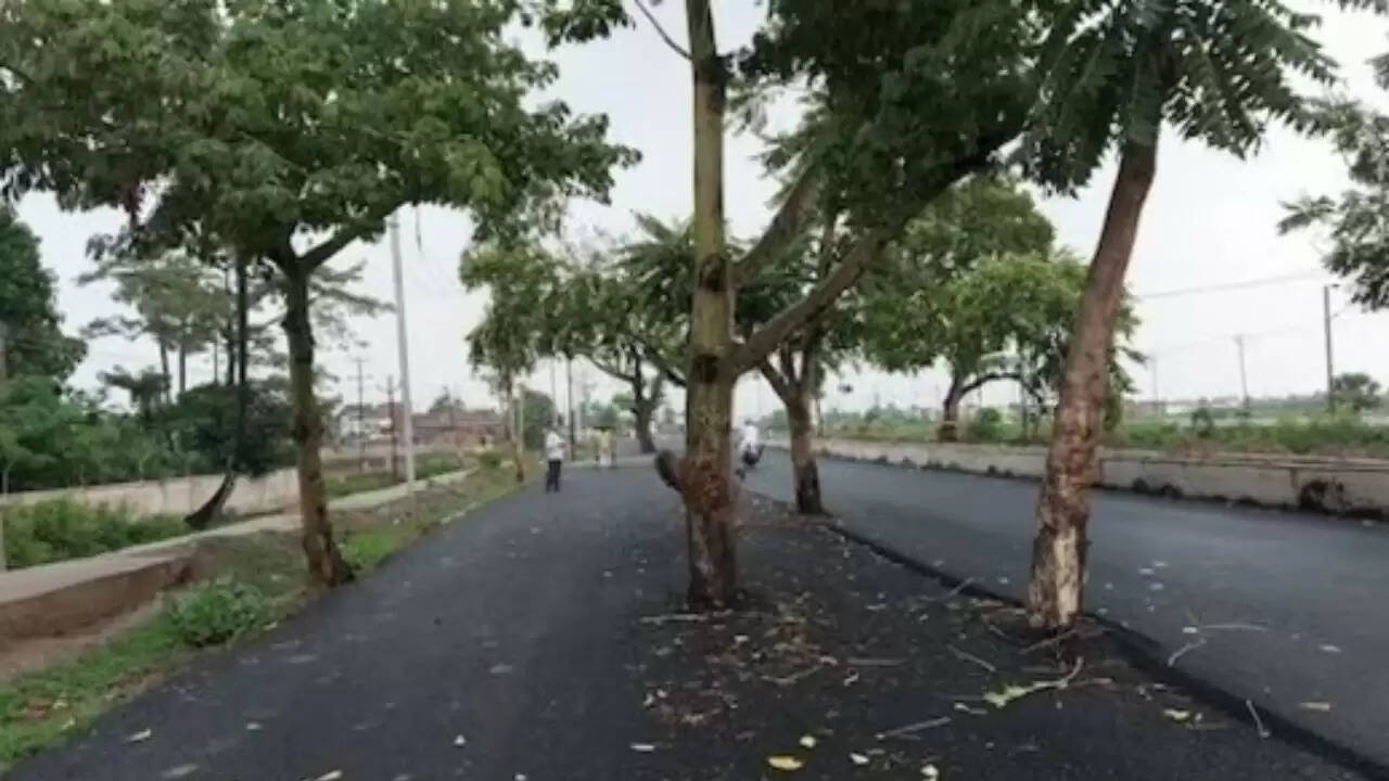 बिहार में अनोखे सड़क चौड़ीकरण परियोजना पर उठे सवाल
