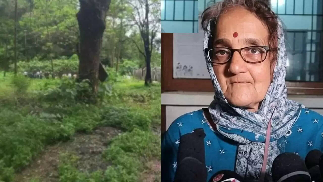 अनन्या भट्ट की गुमशुदगी: सुजाता भट्ट के दावों की सच्चाई पर सवाल