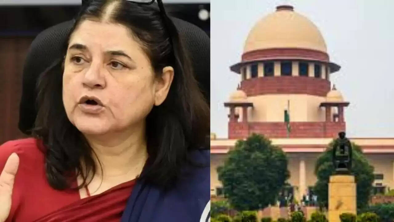 सुप्रीम कोर्ट ने मेनका गांधी को चेतावनी दी, आवारा कुत्तों के मुद्दे पर उठाए सवाल