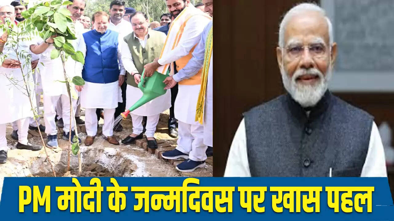 नमो वन का उद्घाटन: प्रधानमंत्री मोदी के जन्मदिन पर रोहतक में 10,000 पौधों का रोपण
