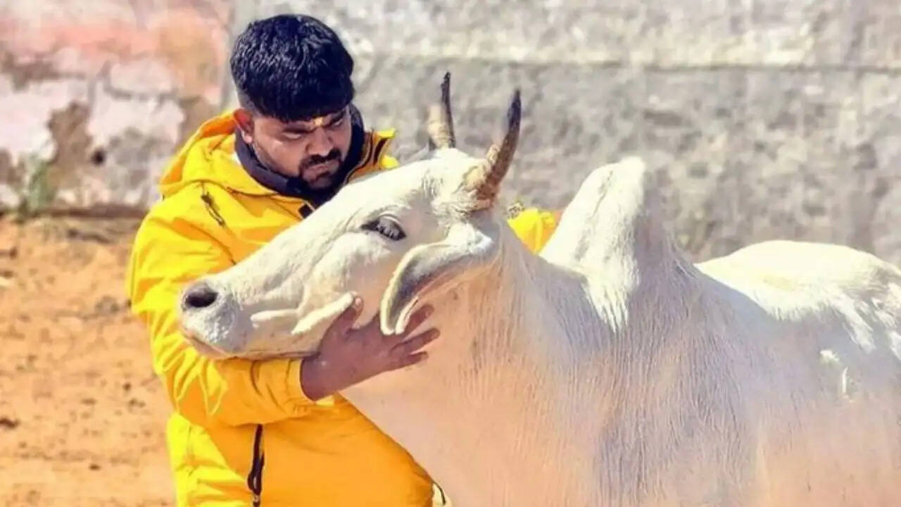 राजस्थान हाईकोर्ट ने मोनू मानेसर को दी जमानत, सुरक्षा के कड़े इंतजाम