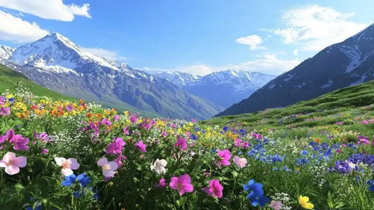 उत्तराखंड की फूलों की घाटी में ट्रेकिंग का अद्भुत अनुभव