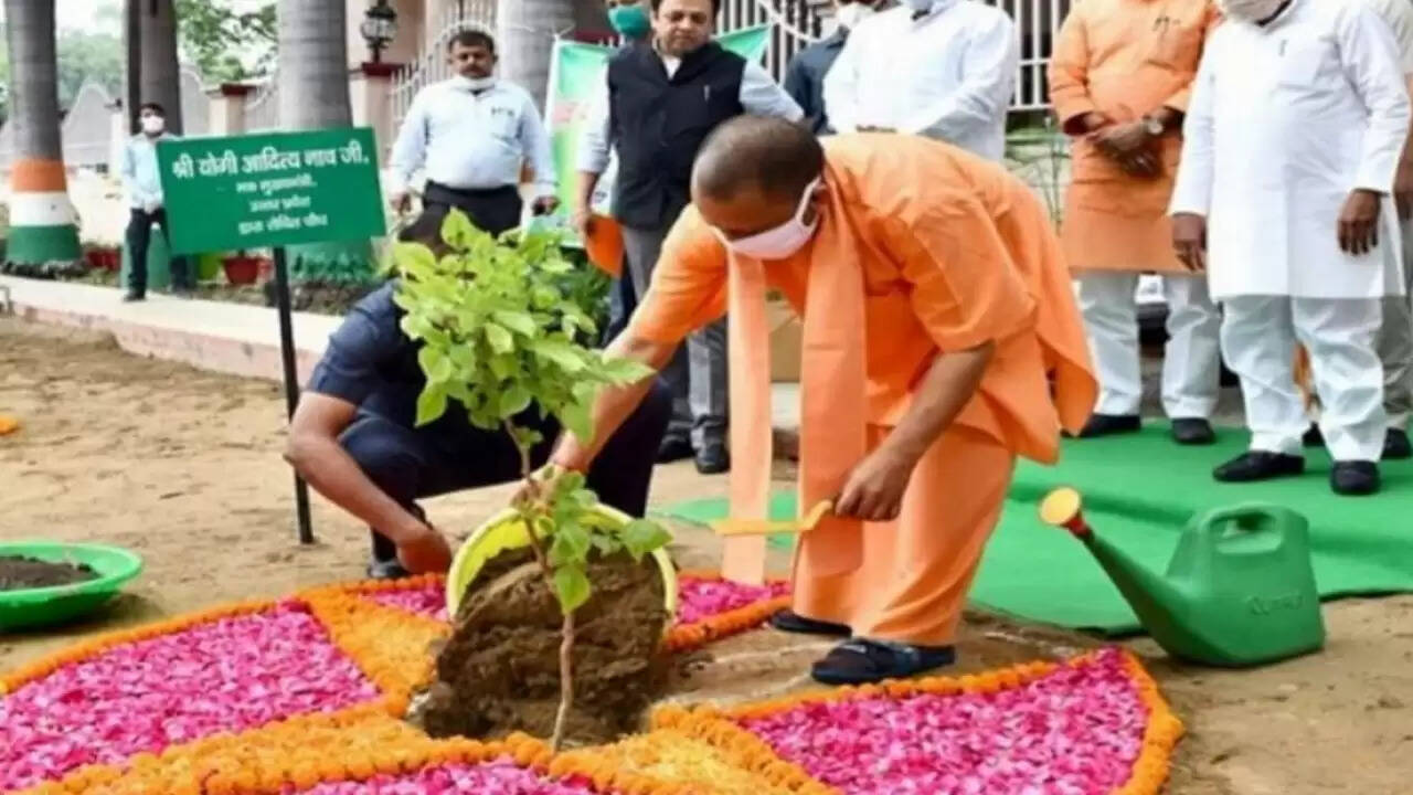 उत्तर प्रदेश में पर्यावरण संरक्षण के लिए ऐतिहासिक पहल: 37 करोड़ पौधे लगाने का अभियान