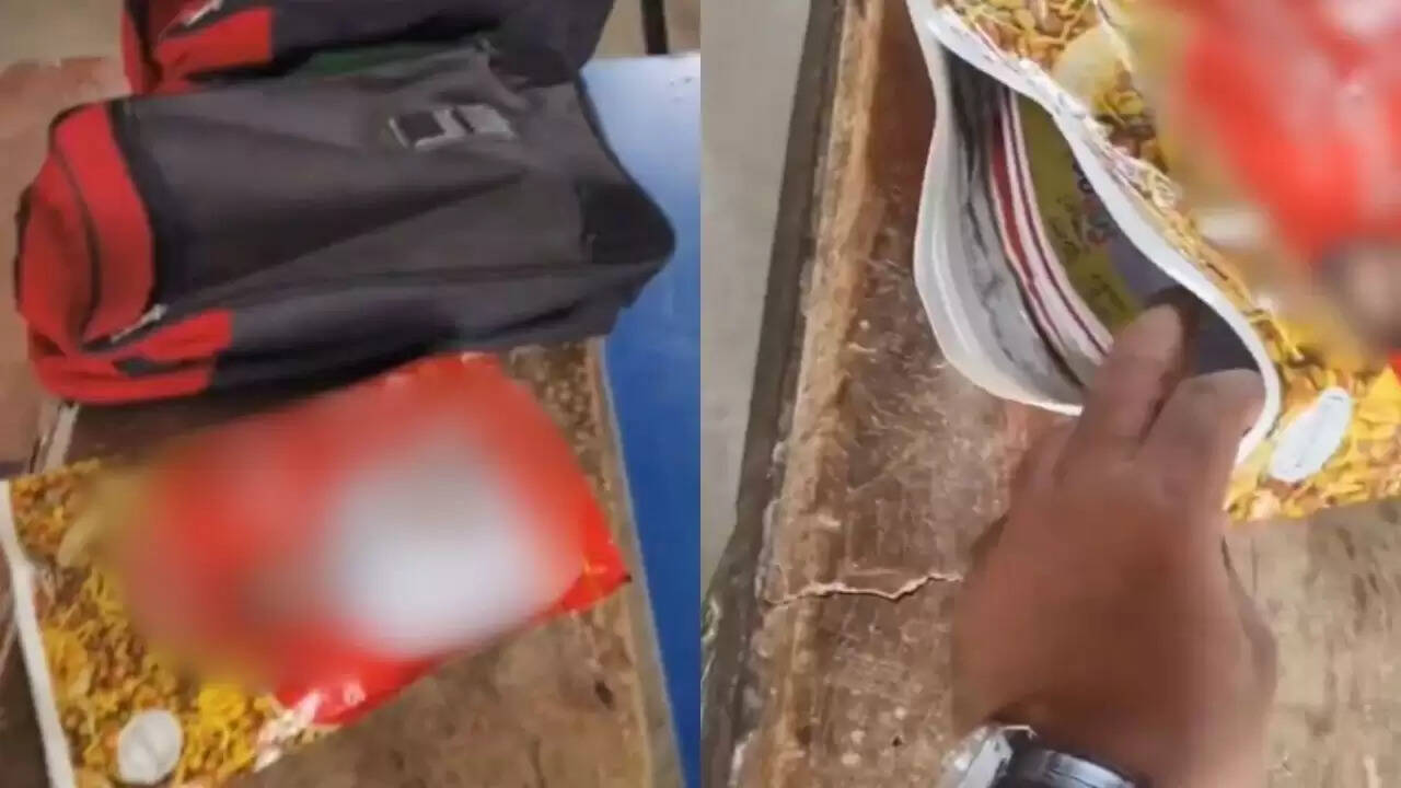 क्या आपने देखा? स्कूल बैग की जगह नमकीन का पैकेट, वायरल वीडियो ने मचाई धूम!