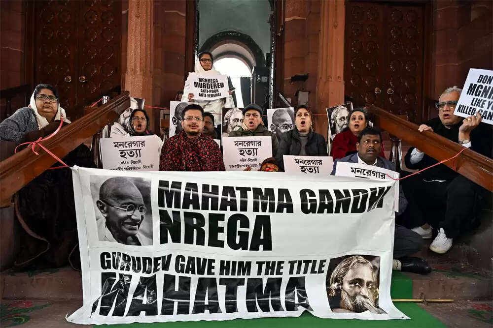 तृणमूल कांग्रेस सांसदों का संसद में धरना, महात्मा गांधी का अपमान बताया