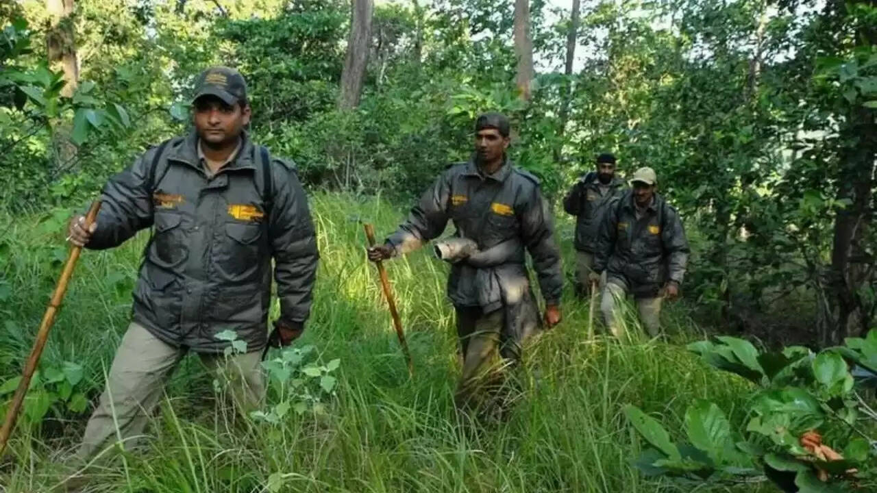 बिहार में वन रेंज ऑफिसर भर्ती 2025: आवेदन की अंतिम तिथि नजदीक