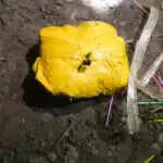 अमृतसर पुलिस ने 12 किलो हेरोइन की बड़ी खेप की बरामदगी की