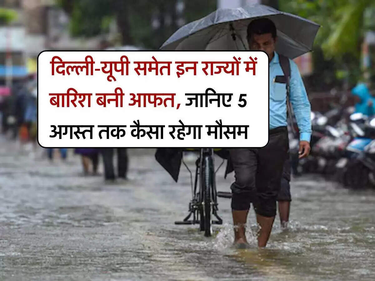 भारत में बारिश का दौर जारी, आईएमडी ने जारी किया अलर्ट