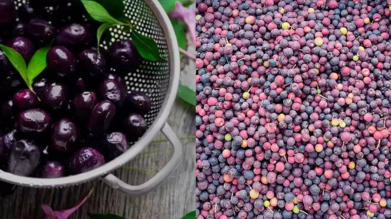 गर्मी में ठंडक देने वाले जामुन और फालसा: कौन सा फल है बेहतर?