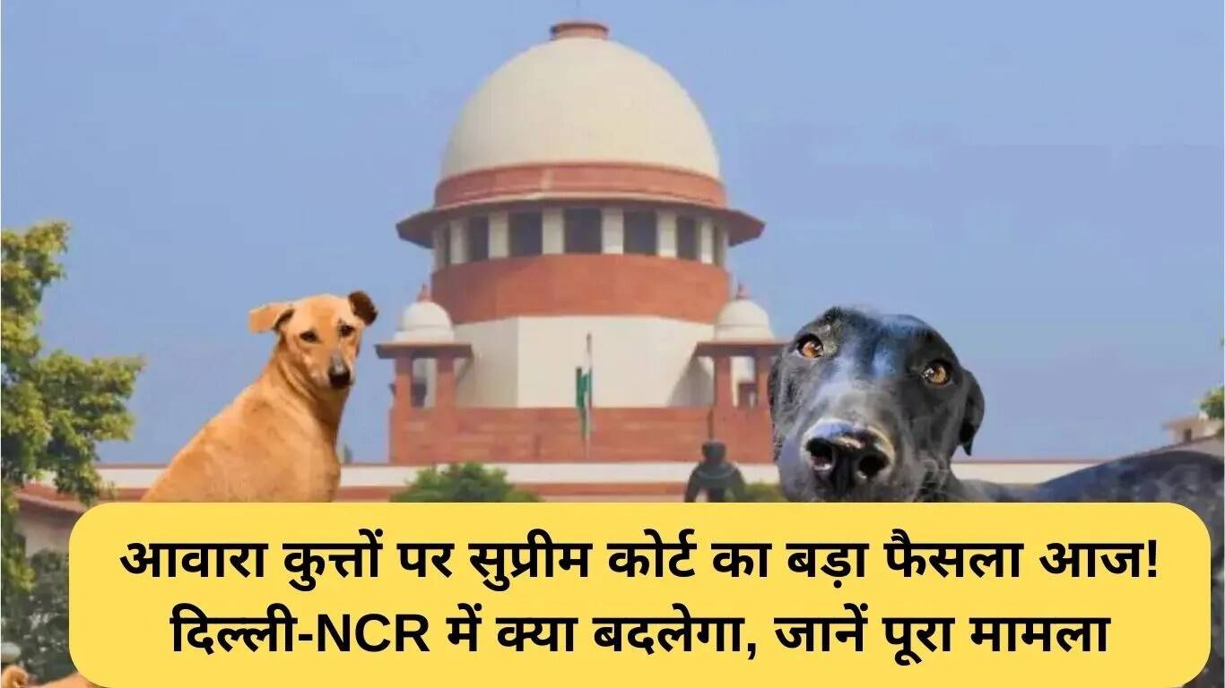 सुप्रीम कोर्ट का आवारा कुत्तों पर महत्वपूर्ण निर्णय: दिल्ली-NCR में क्या होगा बदलाव?