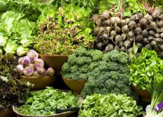 महिलाओं के लिए फायदेमंद सब्जियाँ: सेहत के लिए बेहतरीन विकल्प