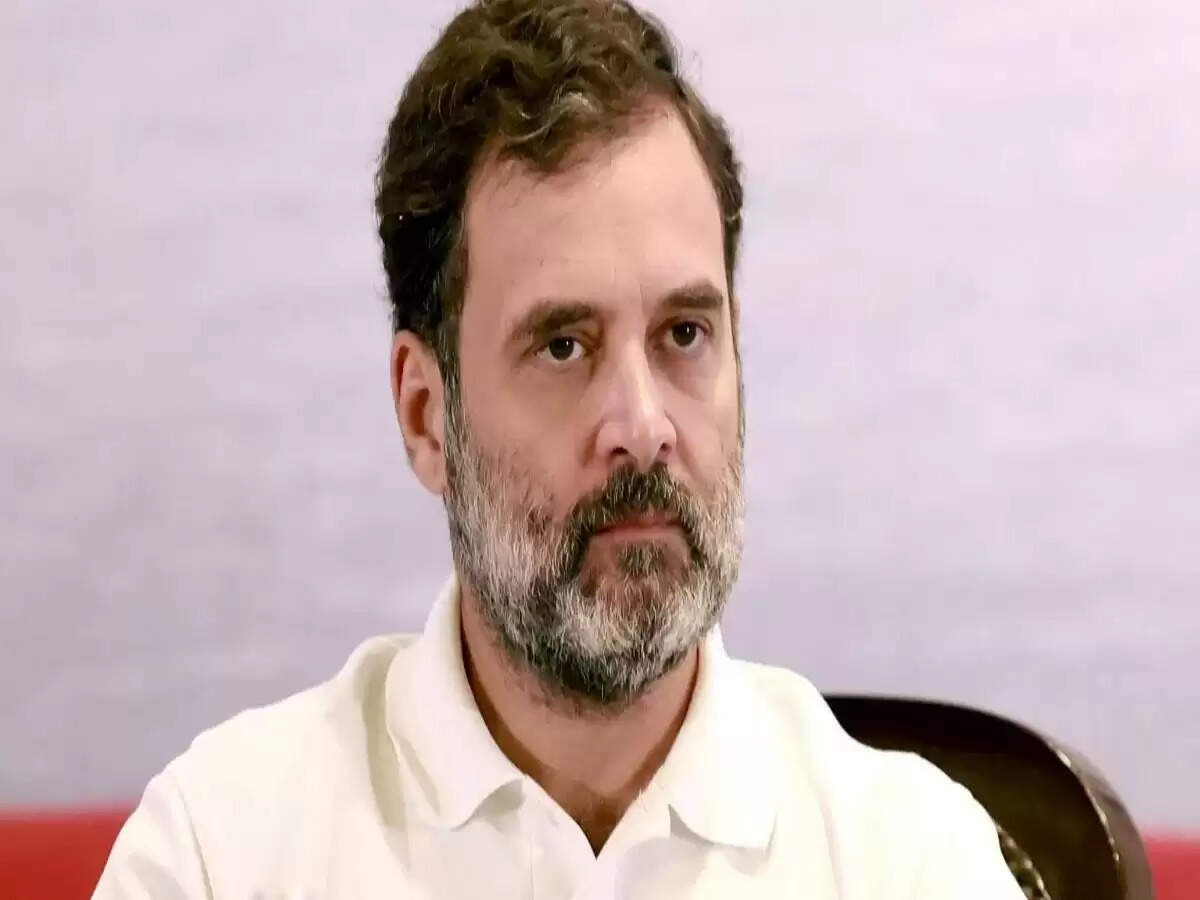 राहुल गांधी का आवारा कुत्तों के संरक्षण पर सुप्रीम कोर्ट के फैसले पर भावुक संदेश
