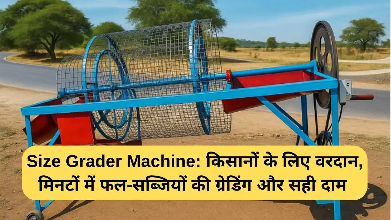 किसानों के लिए साइज ग्रेडर मशीन: उपज की गुणवत्ता में सुधार और लागत में कमी