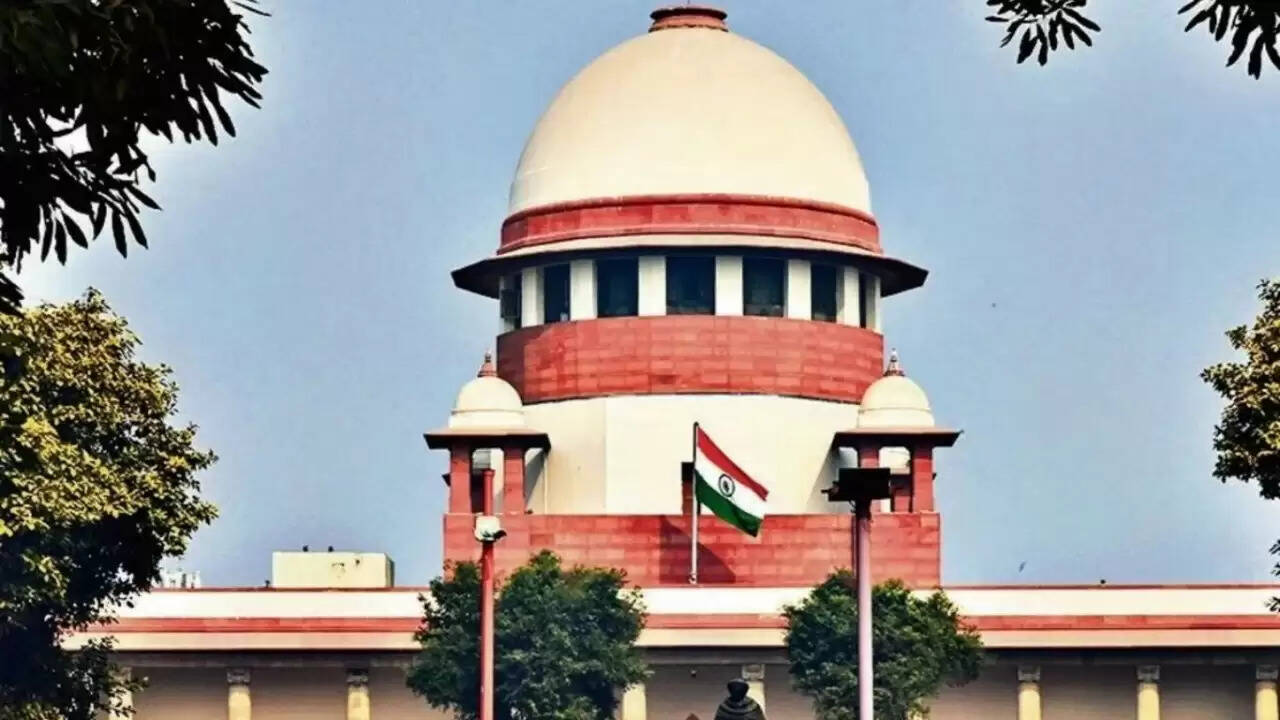 Supreme Court का बड़ा निर्णय: आवारा कुत्तों को शेल्टर से छोड़ा जाएगा