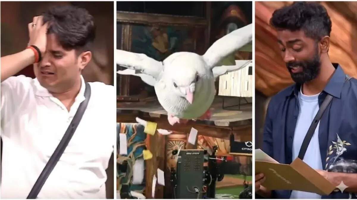 बिग बॉस 19 में परिवार की चिट्ठियों से भावुक पल
