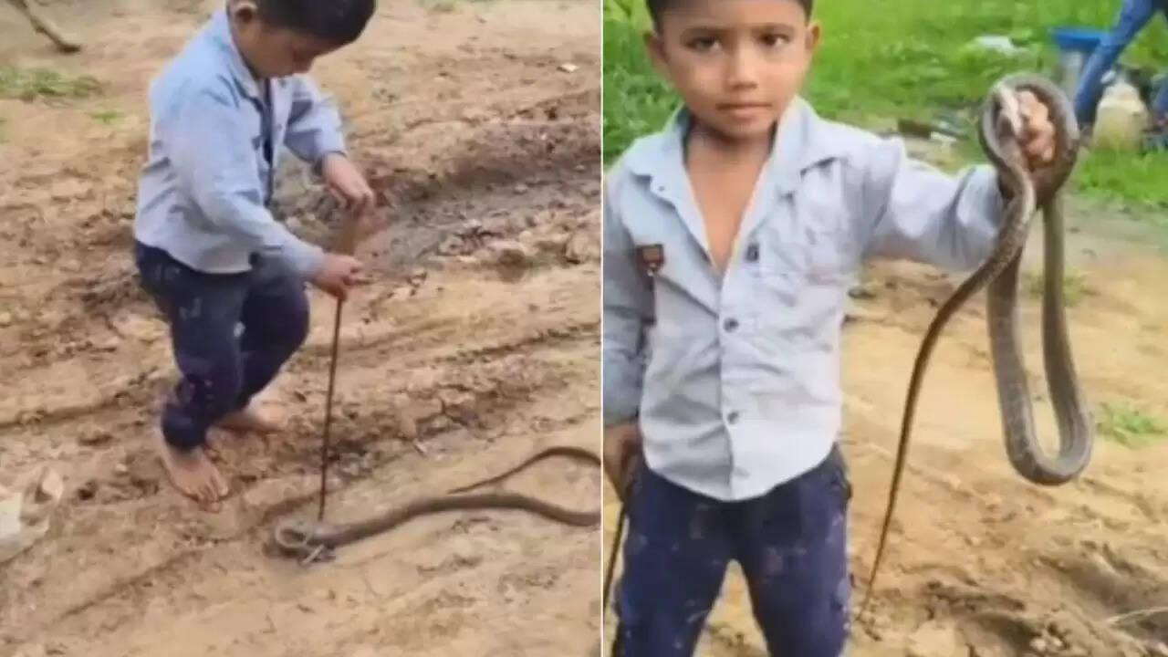 बच्चे का सांप के साथ खेलना: वायरल वीडियो ने बढ़ाई चिंता