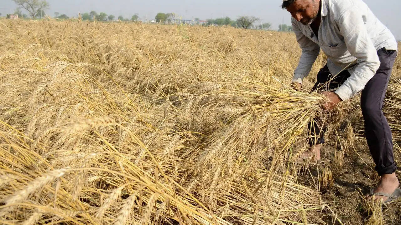 पंजाब में गर्मी का बढ़ता प्रभाव, मानसून की तैयारी