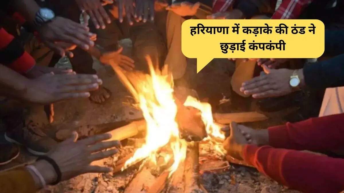 उत्तर भारत में ठंड का बढ़ता प्रभाव, हरियाणा और पंजाब में तापमान में गिरावट